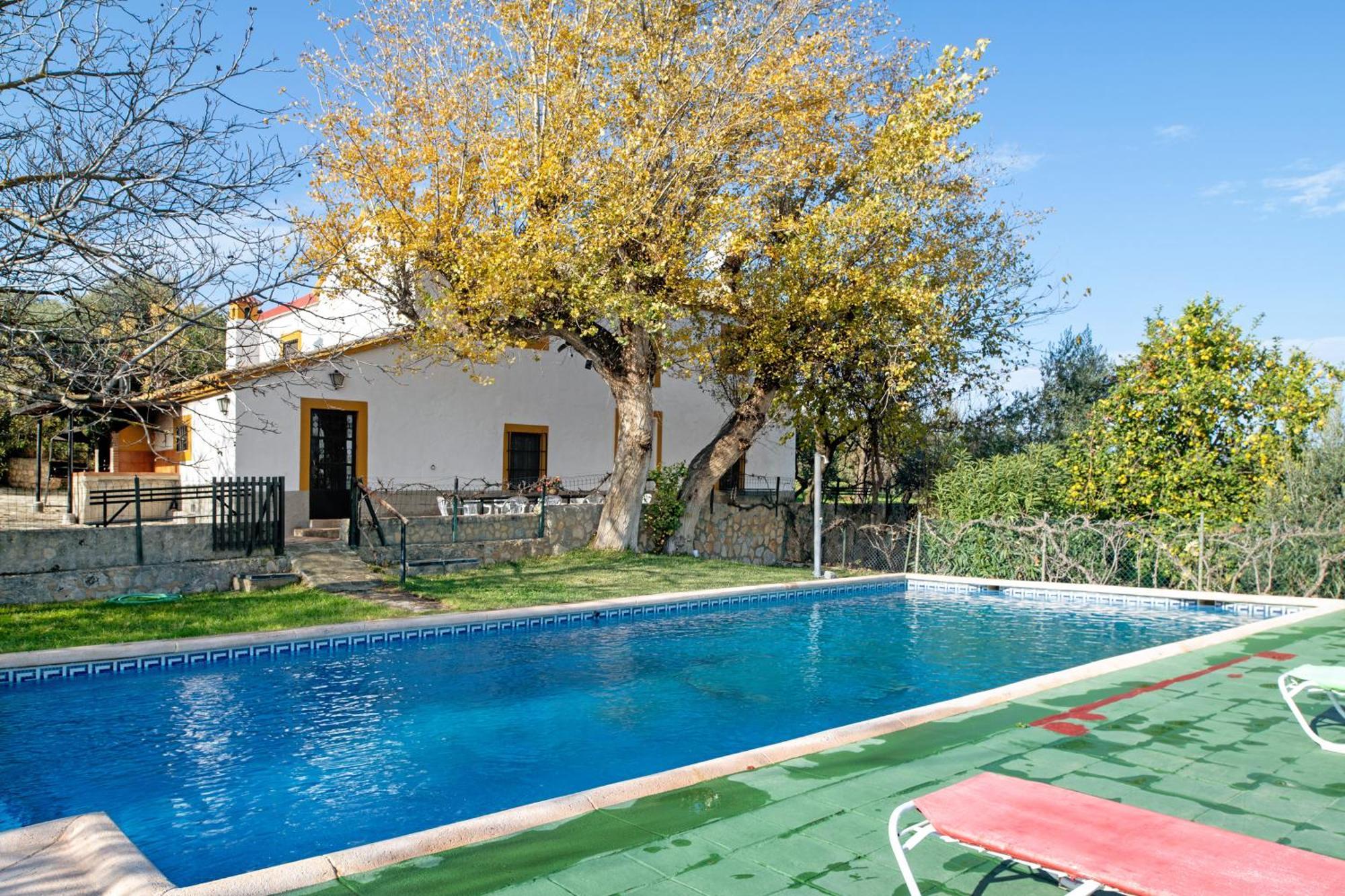 Casa Rural Fuente Dulce Ronda Exteriér fotografie